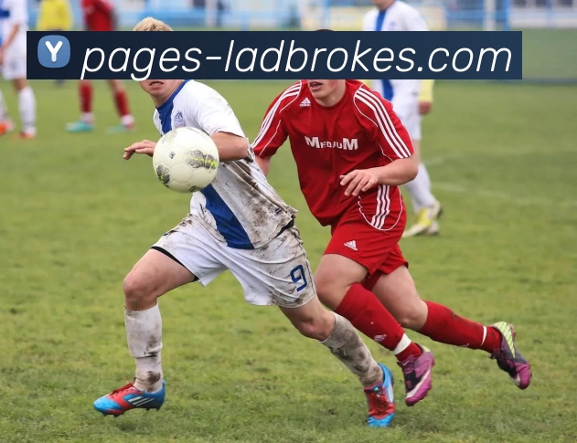 立博官网投注APP 体育赛事宣传图